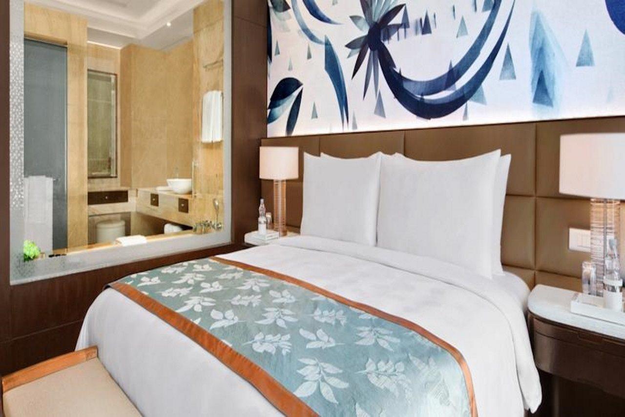 فندق ذا ليلا أمبيانس كونفينشن دلهي نيودلهي المظهر الخارجي الصورة Deluxe Room